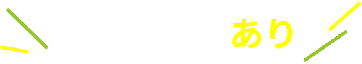 お掃除機能あり