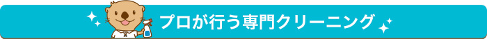 プロが行う専門クリーニング